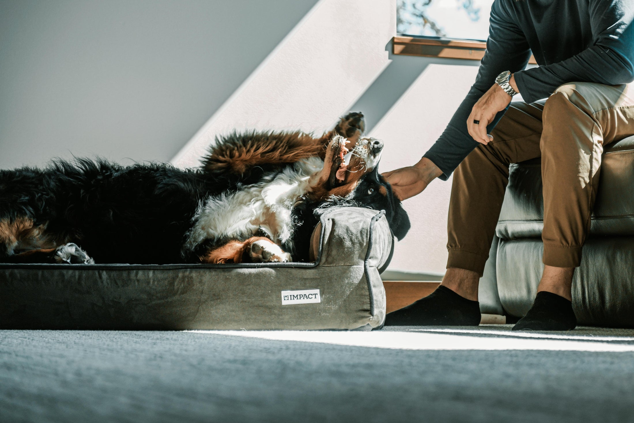 Safe Comfort. Playful Luxury.